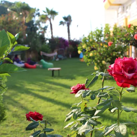 Hare فندق ألانيا