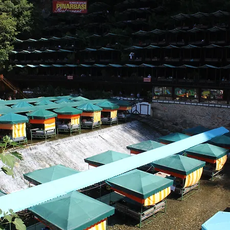 Hare 3* ألانيا