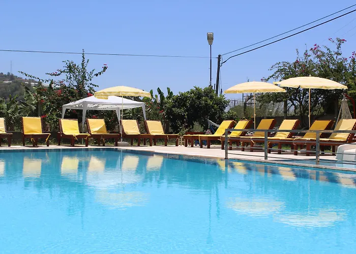 Hare 3* Αλάνια