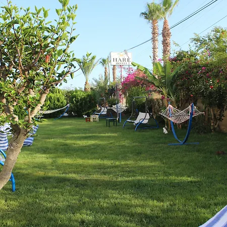 Hare Alanya