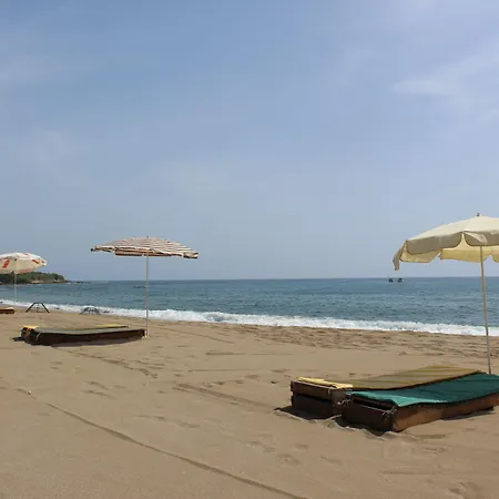 Hare Alanya